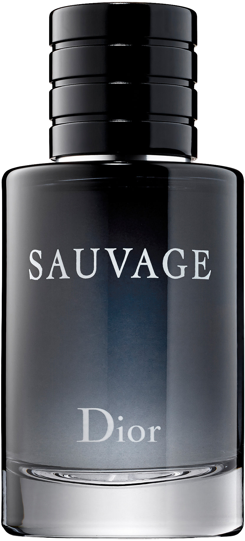 Render inspired by Sauvage EDP